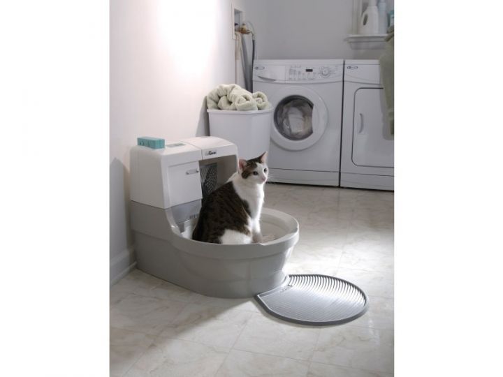 Catgenie3.jpg