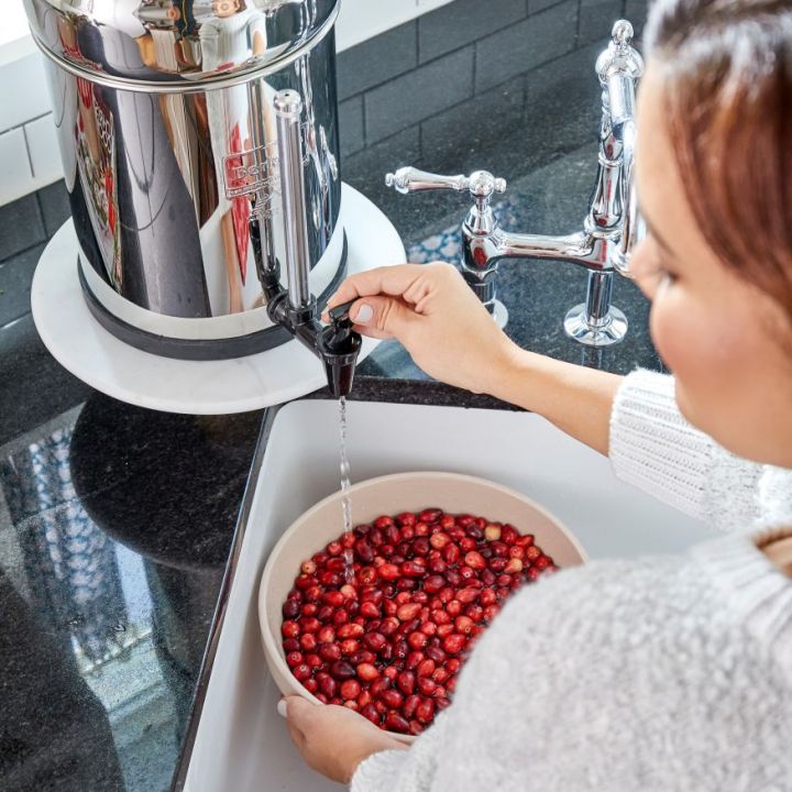 Berkey-NMCL-Indoor-Holiday2018-E-Commerce_2_.jpg